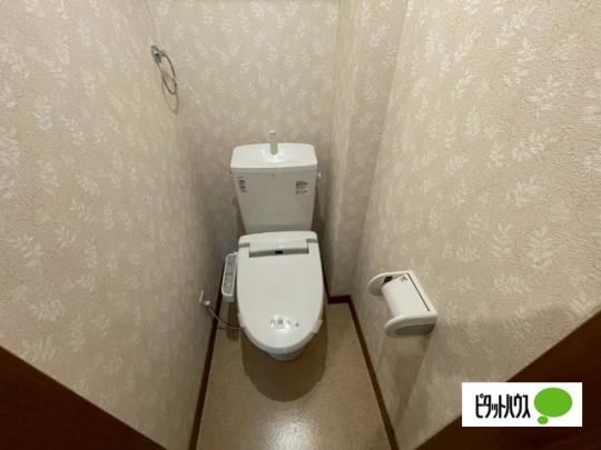 �y���̑��z�@�g�C��