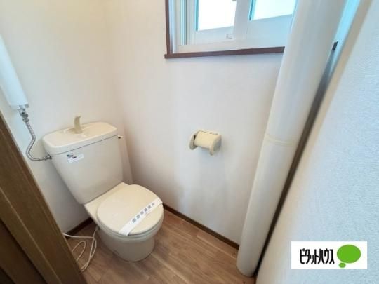�y���̑��z�@�g�C��