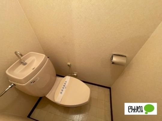 �y���̑��z�@�g�C��