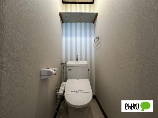 �y���̑��z�@�g�C��