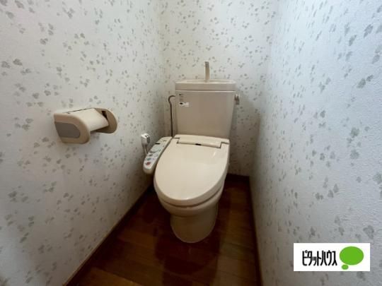 �y���̑��z�@�g�C��