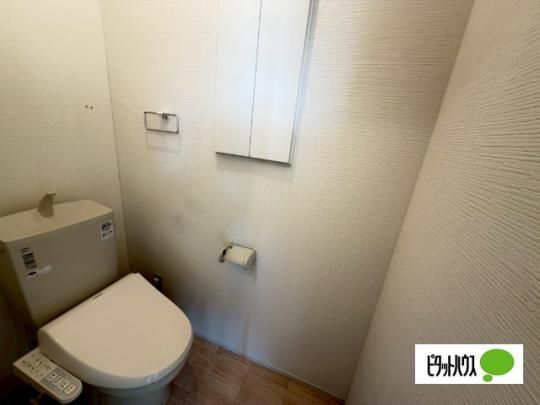 �y���̑��z�@�g�C��