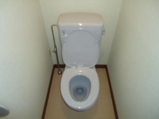 �y���̑��z�@�g�C��