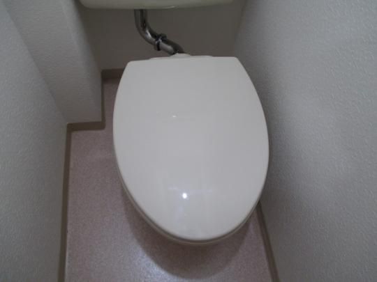 �y���̑��z�@�g�C��