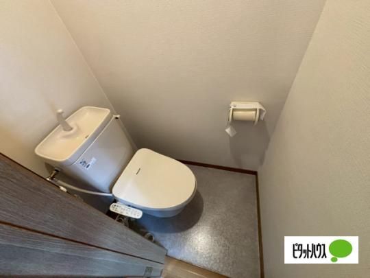 �y���̑��z�@�g�C��