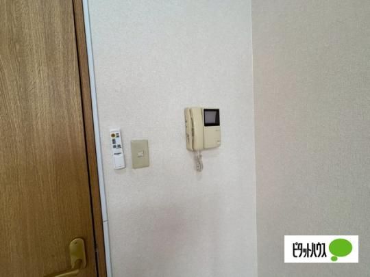 �y���̑��z�@�Z�L�����e�B