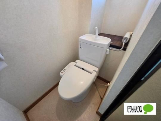 �y���̑��z�@�g�C��