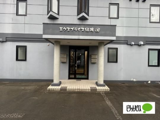 �y�����O�ρz�@�G���g�����X