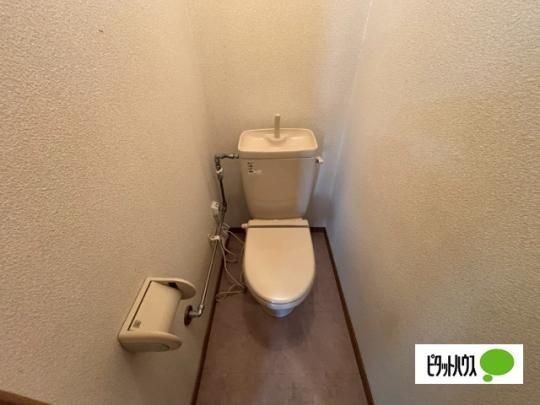 �y���̑��z�@�g�C��