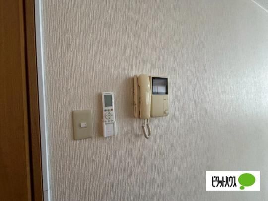 �y���̑��z�@�Z�L�����e�B