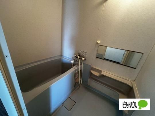 �y���̑��z�@�o���R�j�[