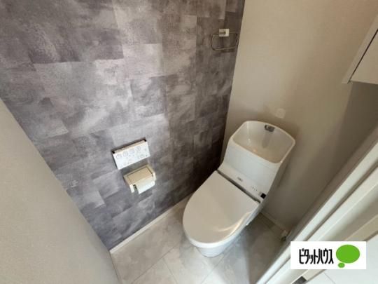 �y���̑��z�@�g�C��
