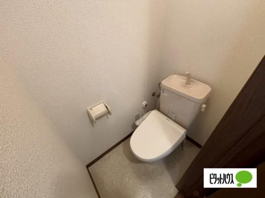 �y���̑��z�@�g�C��