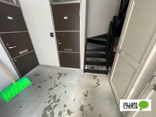 �y�����O�ρz�@�G���g�����X