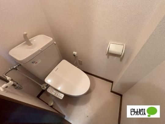 �y���̑��z�@�g�C��