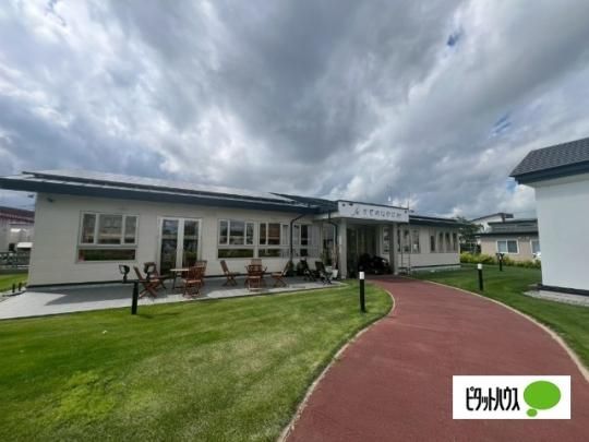 �y�����O�ρz�@�G���g�����X