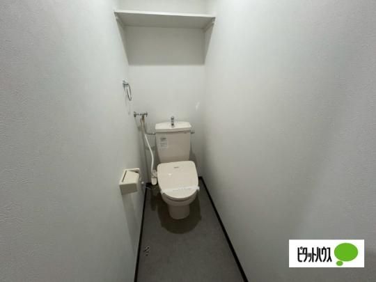 �y���̑��z�@�g�C��