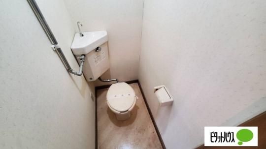 �y���̑��z�@�g�C��