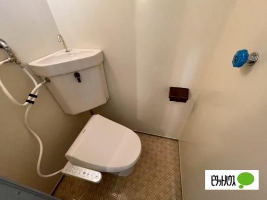�y���̑��z�@�g�C��