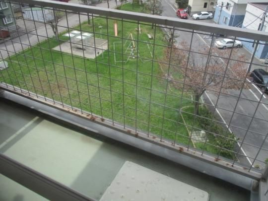 �y���̑��z�@�o���R�j�[