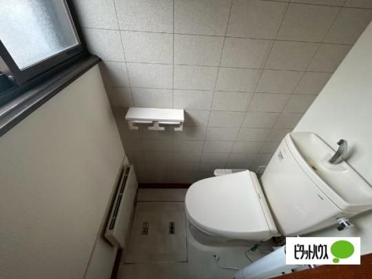 �y���̑��z�@�g�C��