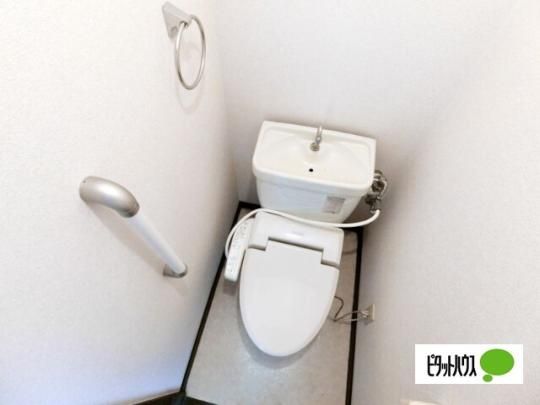 �y���̑��z�@�g�C��