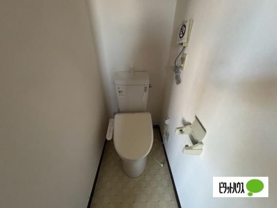 �y���̑��z�@�g�C��