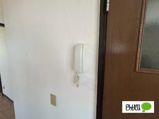 �y���̑��z�@�Z�L�����e�B