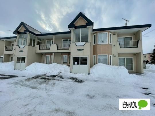 ���o�[�T�C�h�T