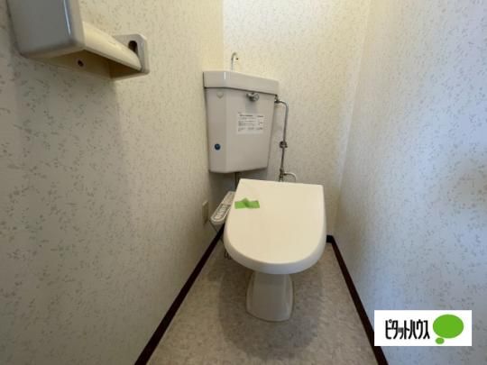 �y���̑��z�@�g�C��