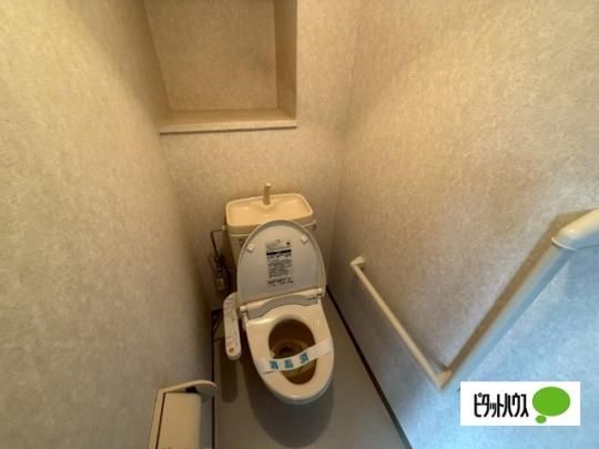 �y���̑��z�@�g�C��
