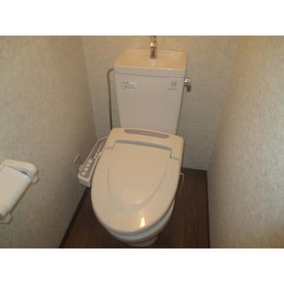 �y���̑��z�@�g�C��