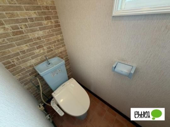 �y���̑��z�@�g�C��