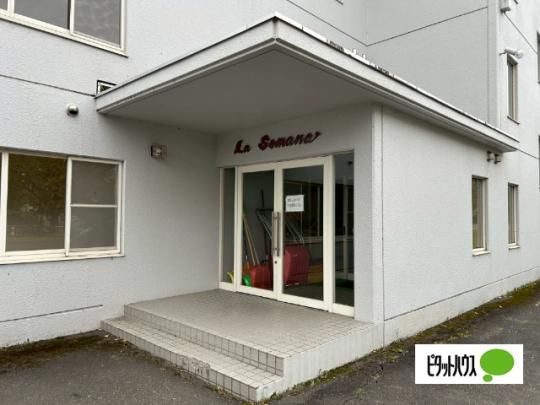 �y�����O�ρz�@�G���g�����X