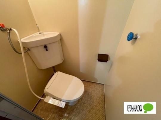 �y���̑��z�@�g�C��