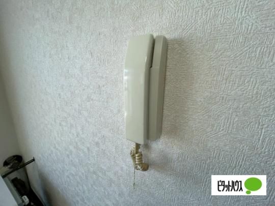 �y���̑��z�@�Z�L�����e�B