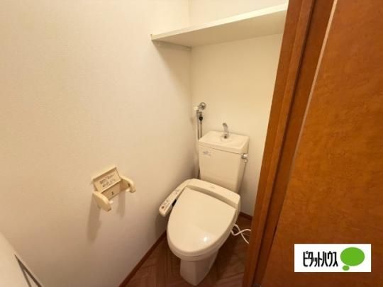�y���̑��z�@�g�C��