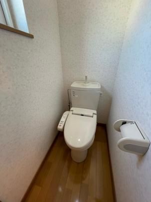 �y���̑��z�@�g�C��