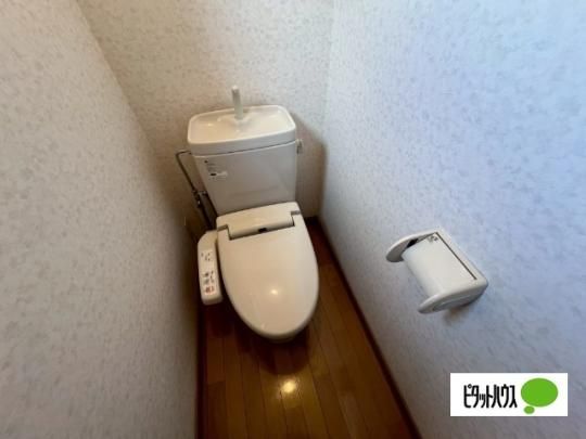 �y���̑��z�@�g�C��