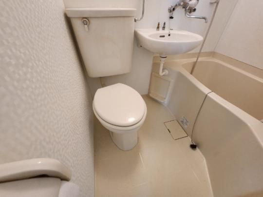 �y���̑��z�@�g�C��