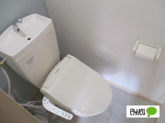 �y���̑��z�@�g�C��