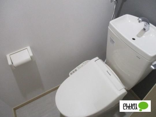 �y���̑��z�@�g�C��
