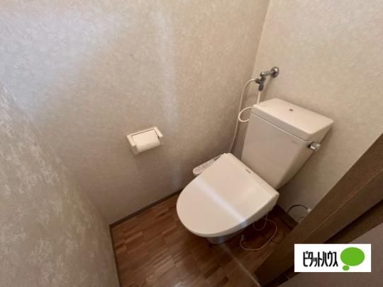 �y���̑��z�@�g�C��