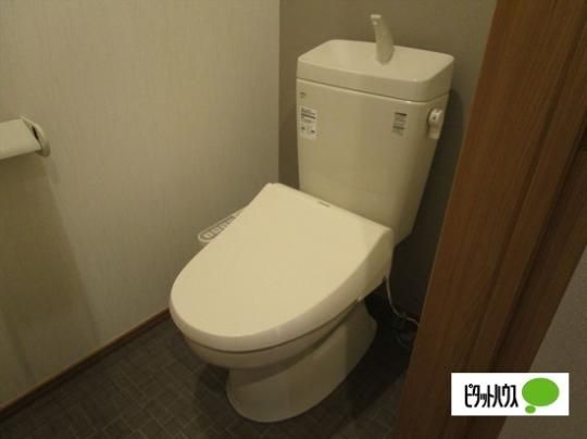 �y���̑��z�@�g�C��