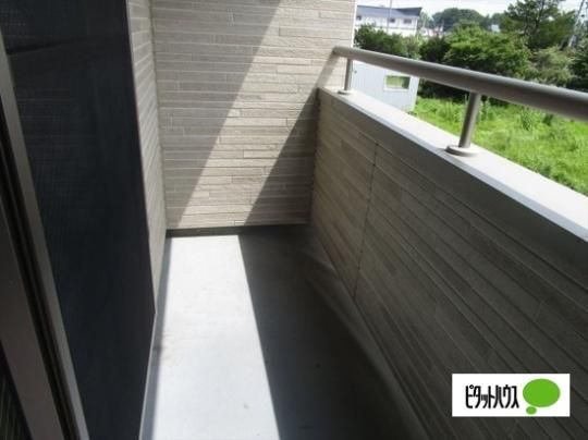 �y���̑��z�@�o���R�j�[