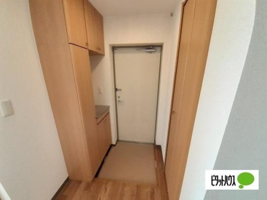 �y���̑��z�@����