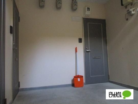 �y�����O�ρz�@���r�[