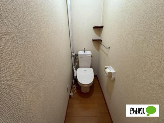 �y���̑��z�@�g�C��