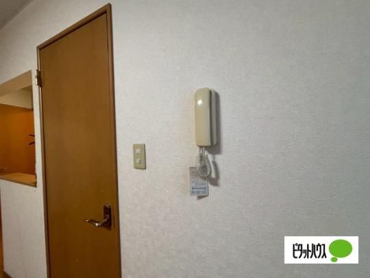 �y���̑��z�@�Z�L�����e�B