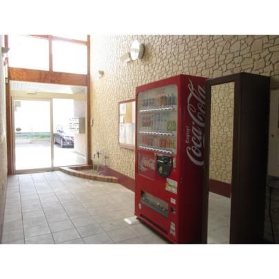 �y�����O�ρz�@���r�[